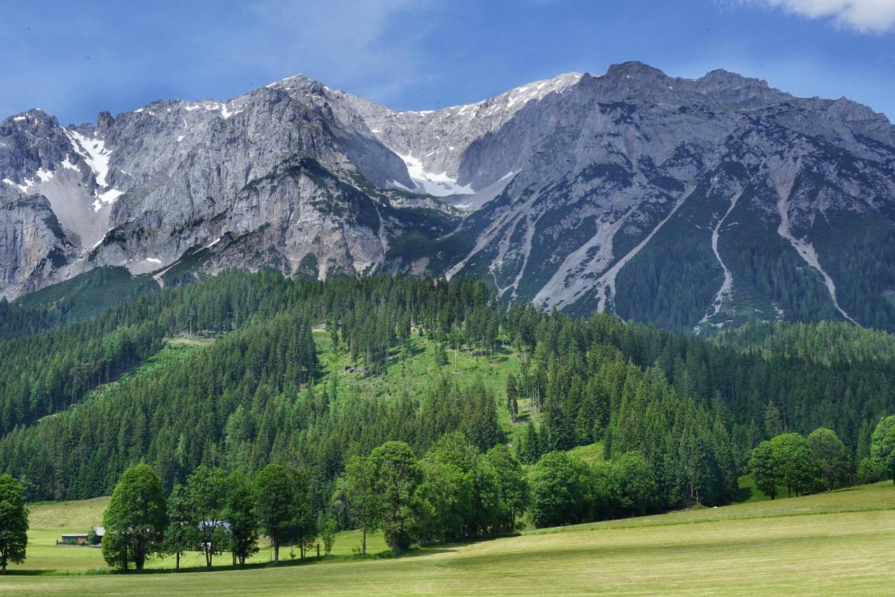 Stierer 3* Ramsau am Dachstein